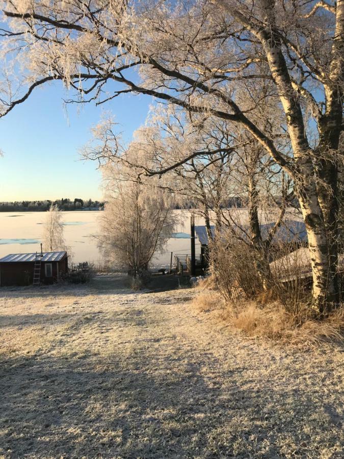 Riverside Cottage Aalto Borealis Keminmaa 외부 사진